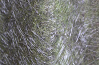 Holyhead fibreglass roof work